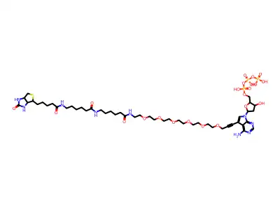 biotin-36-dc7ATP structure