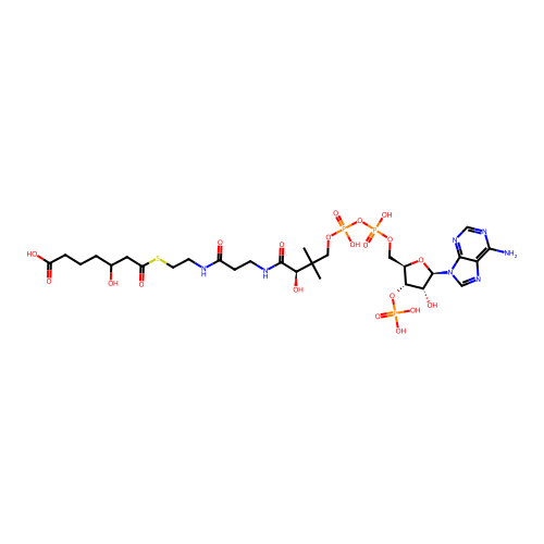 3-Hydroxypimeloyl-CoA structure
