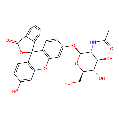 Fluorescein mono-beta-D-N-acetylglucosamine structure