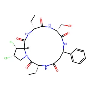 Asterin structure