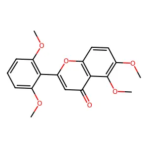 沙波廷 structure