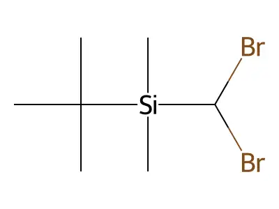 tert-Butyl(dibromomethyl)dimethylsilane structure