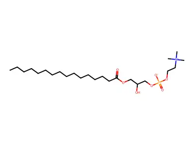 Palmitoyllysolectithin structure