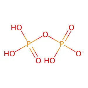 焦磷酸根 structure
