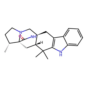 VM 55599 structure