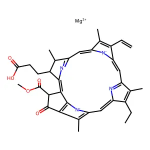 Chlorophyllide a structure