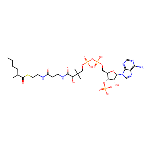 alpha-methylcaproyl-CoA structure