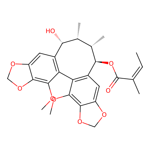 schisantherinL structure