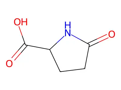 吡咯烷酮甲酸 structure