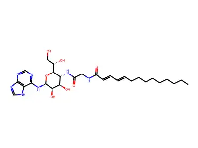 Krn 5500 structure