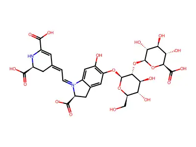 Amaranthin betacyanin structure
