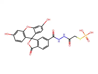 Doixc-pth structure