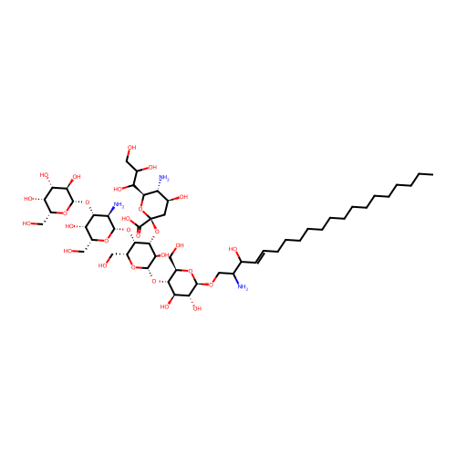 Wild 20 structure