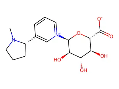 Nicotine glucuronide structure