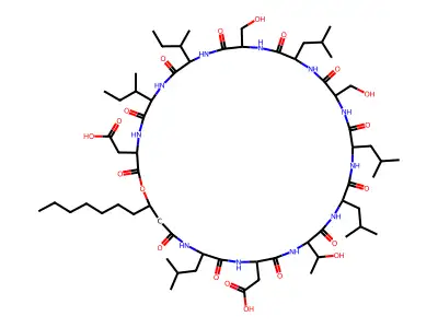 Arthrofactin structure