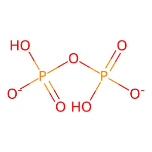 二氢二磷酸盐 structure
