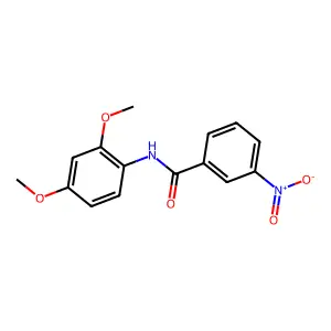 N-(2,4-二甲氧基苯基)-3-硝基苯甲酰胺 structure