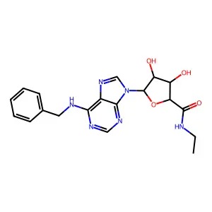 N6-苄基-5'-N-乙基甲酰胺腺苷 structure