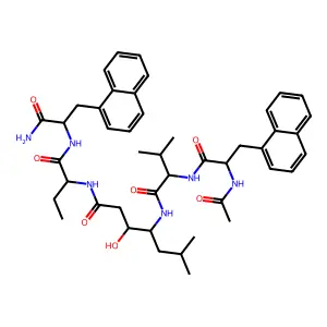 1ody structure