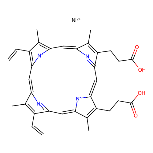 Ni-Protoporphyrin structure
