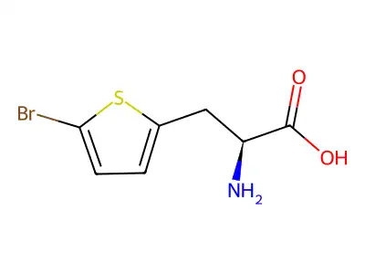 2-Amino-3-(5-bromothiophen-2-yl)propanoic acid structure