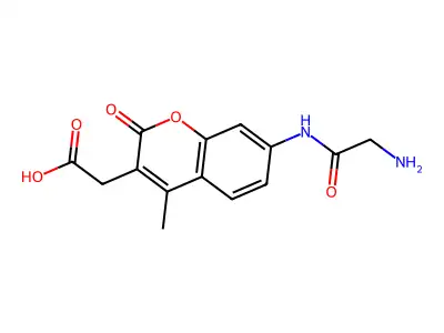 FW6CP8VS9M structure