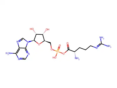 Arginyl adenylate structure