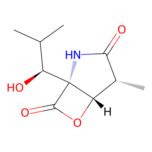 clasto-Lactacystin beta-lactone structure