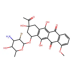 WP 401 structure