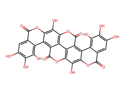 Gallagyldilactone structure