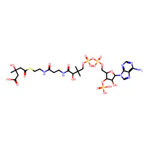 羟甲基戊二酸单酰辅酶A structure