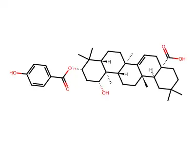 Hobz-ohmap structure