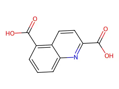 Quinoline-2,5-dicarboxylic Acid structure