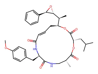 Cryptophycin B structure