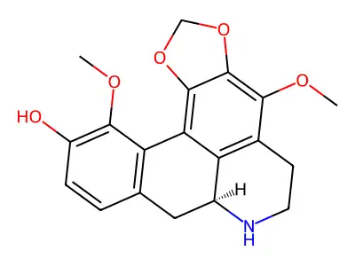 Hernandine structure