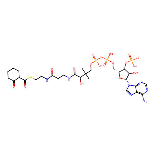 2-Oxocyclohexane-1-carbonyl-CoA structure