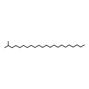 2-Methyldocosane structure