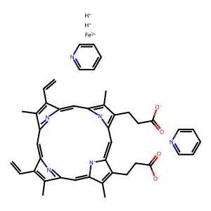 Pyridine hemochrome structure