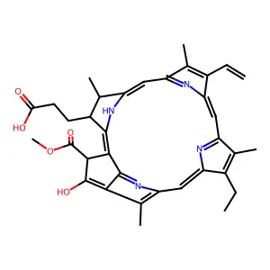 脱镁叶绿甲酯酸A structure