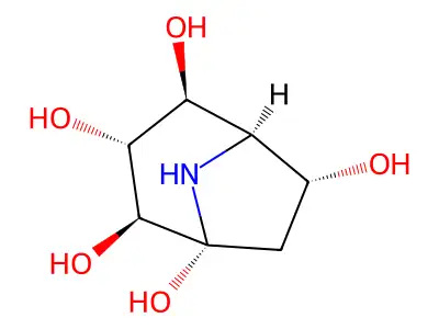 (1S,2R,3S,4R,5S,6R)-8-azabicyclo[3.2.1]octane-1,2,3,4,6-pentol structure