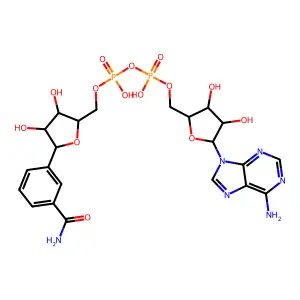 苯甲酰胺腺嘌呤核苷酸 structure