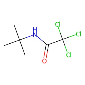 N-tert-butyl-2,2,2-trichloroacetamide structure