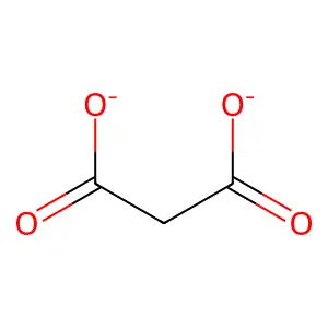 Malonate Ion structure