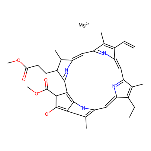 Methylchlorophyllide A structure