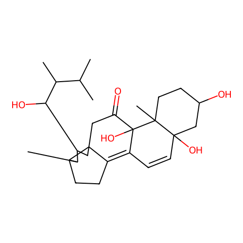 Mer NF8054X structure
