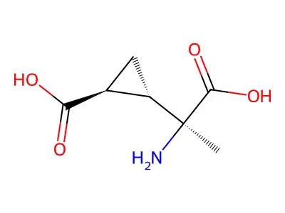 Mccg-I structure
