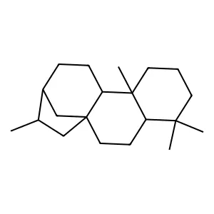 Ent-Kaurane structure