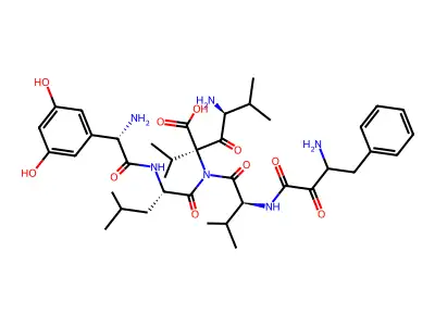 Rpi 856 C structure