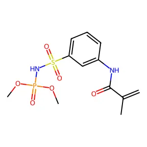 Dimethyl ((3-((2-methyl-1-oxoallyl)amino)phenyl)sulphonyl)phosphoramidate structure
