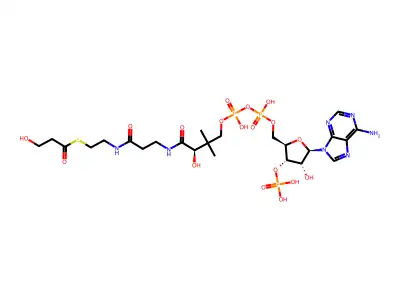 3-Hydroxypropionyl-CoA structure